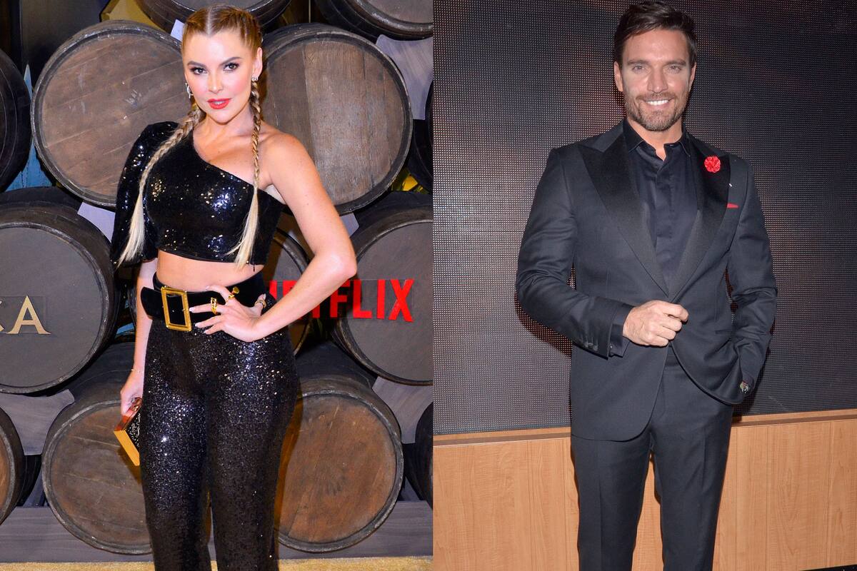 Revela Marjorie de Sousa que Julián Gil apeló sentencia sobre su hijo