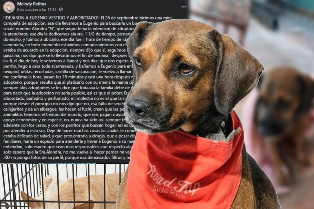 Perrito Eugenio es plantado recién bañado en su día de adopción