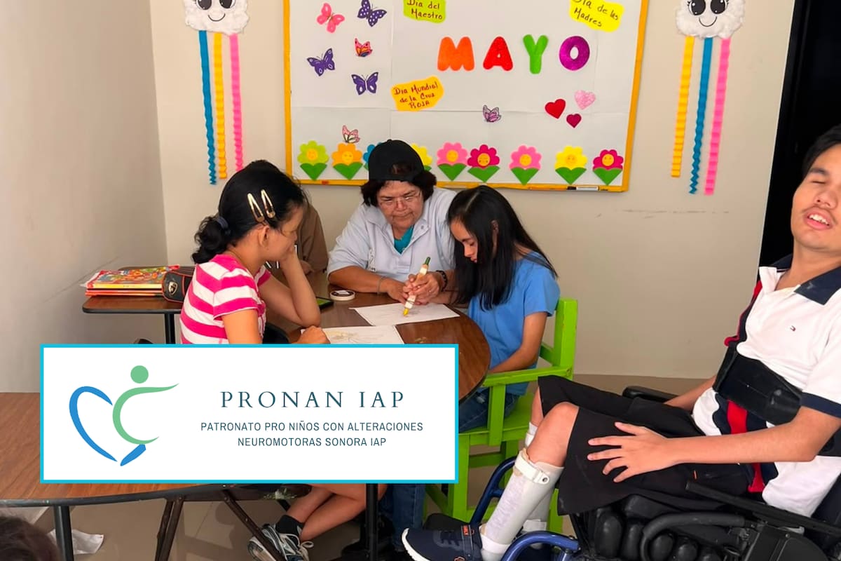 Pronan IAP ofrece mini sesiones fotográficas para recaudar fondos y mejorar su equipo de terapia para atender personas con parálisis cerebral, autismo y síndrome de Down