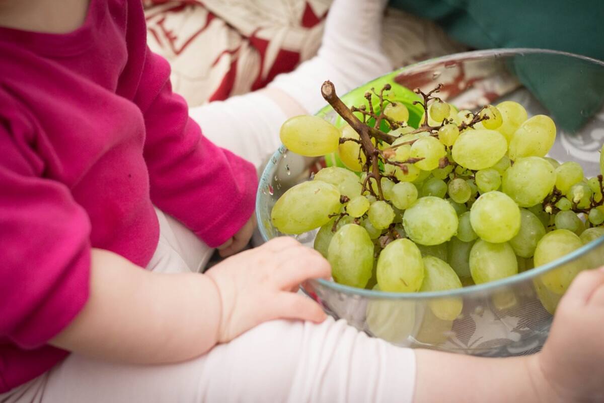 Pareja que alimentaba a su hija con dieta vegana es condenada a cárcel
