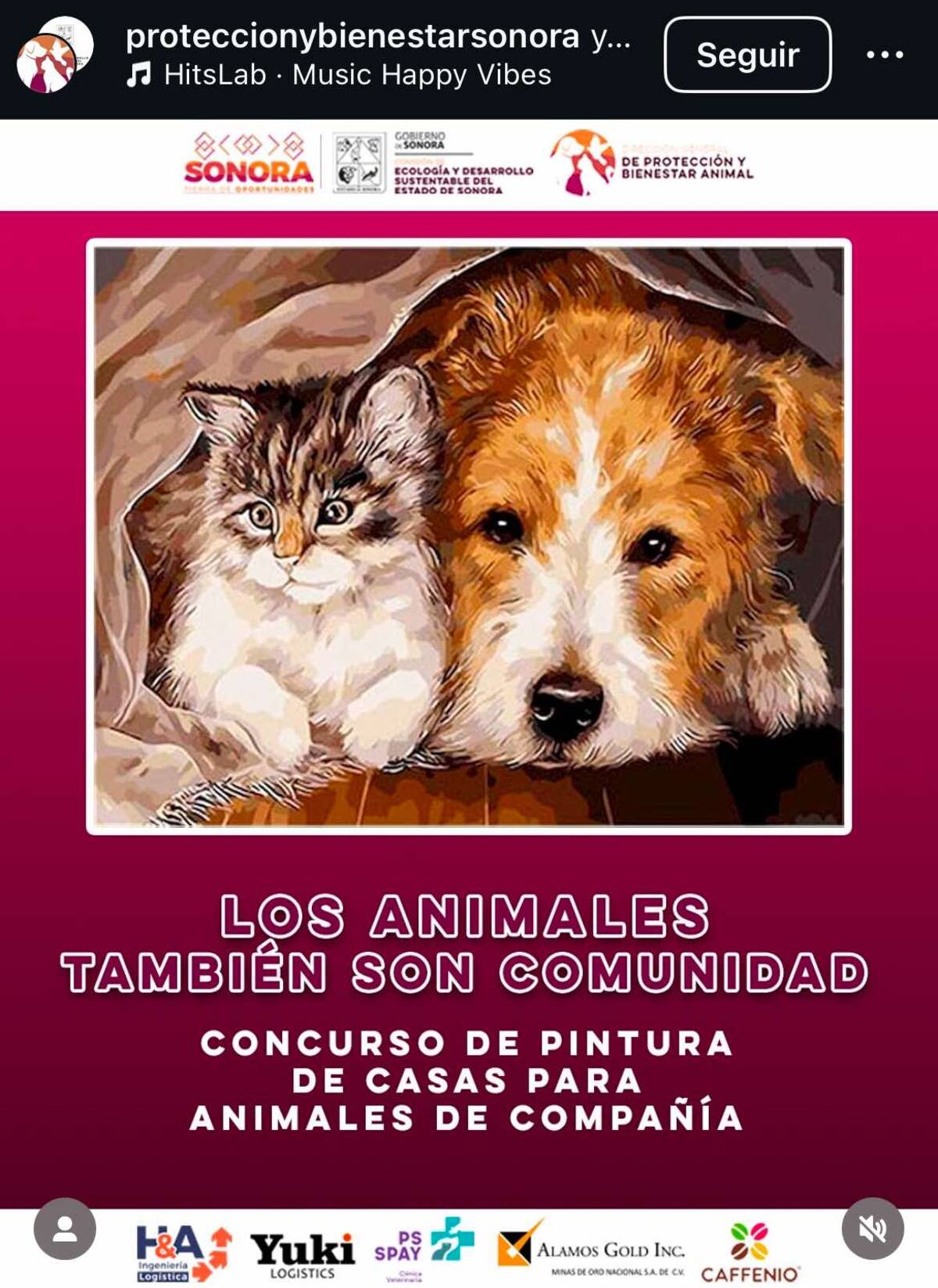 La Dirección General de Protección y Bienestar Animal de Sonora y la Comisión de Ecología y Desarrollo Sustentable invitan a participar en el Concurso de Pintura de Casas para Animales de Compañía "Los Animales también son comunidad. | Captura de pantalla