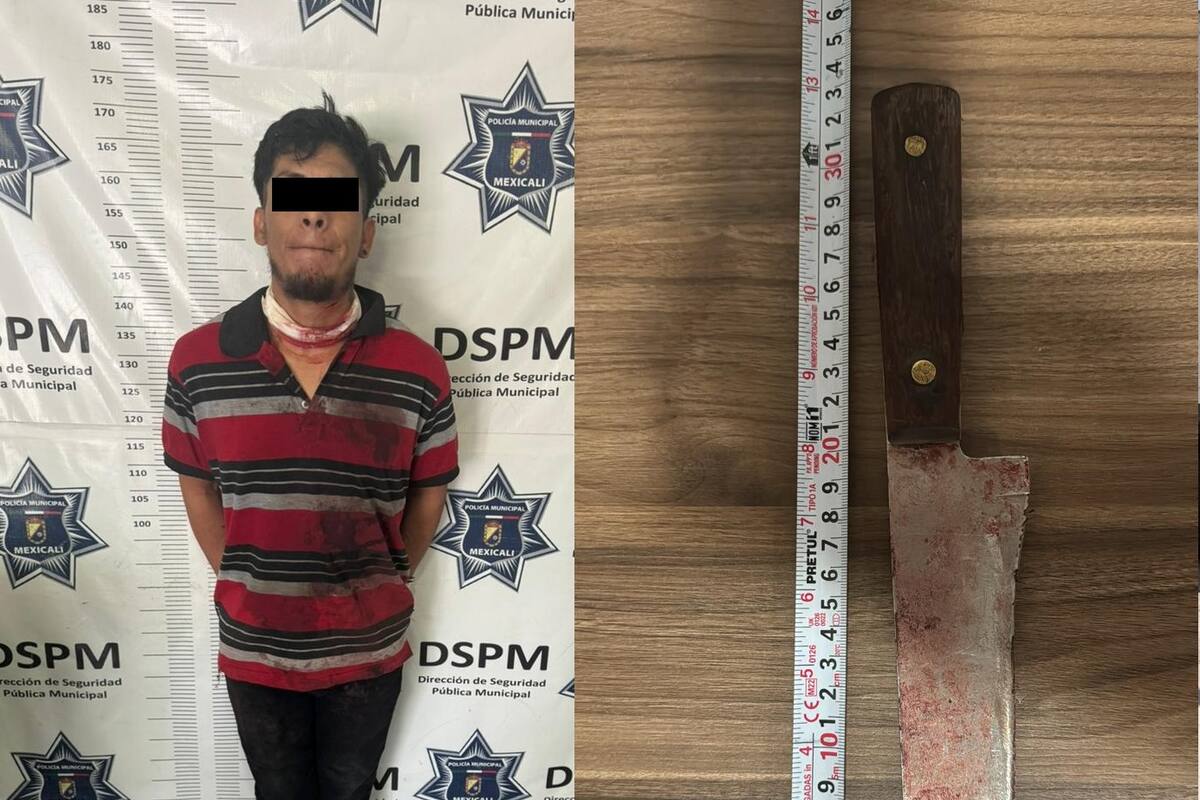 Trató de matar a su madre, luego se acuchilló a sí mismo