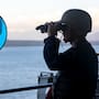 Delfines entrenados por la Marina de EEUU para detectar minas submarinas vuelven al debate tras tensiones con Irán en el estrecho de Ormuz