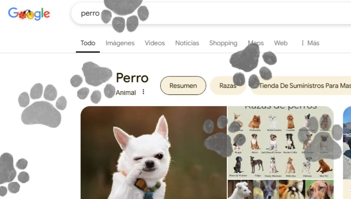 Al buscar "perro" o "gato" en Google, aparece un icono interactivo que deja huellas en la pantalla acompañadas de ladridos o maullidos
