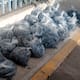 Aseguran en San Felipe casi 3 mil pepinos de mar transportados ilegalmente