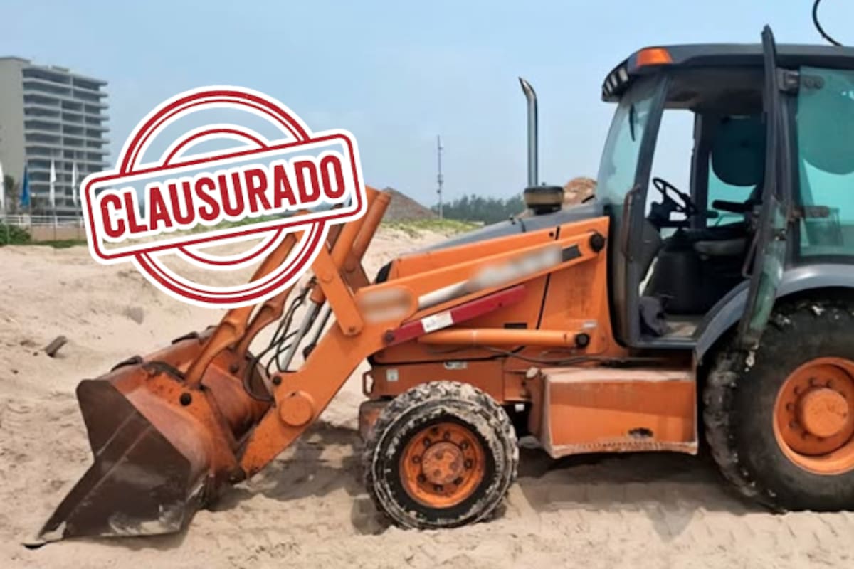 Profepa detiene remoción de arena en zona de anidación de tortugas en Playa de Tamaulipas