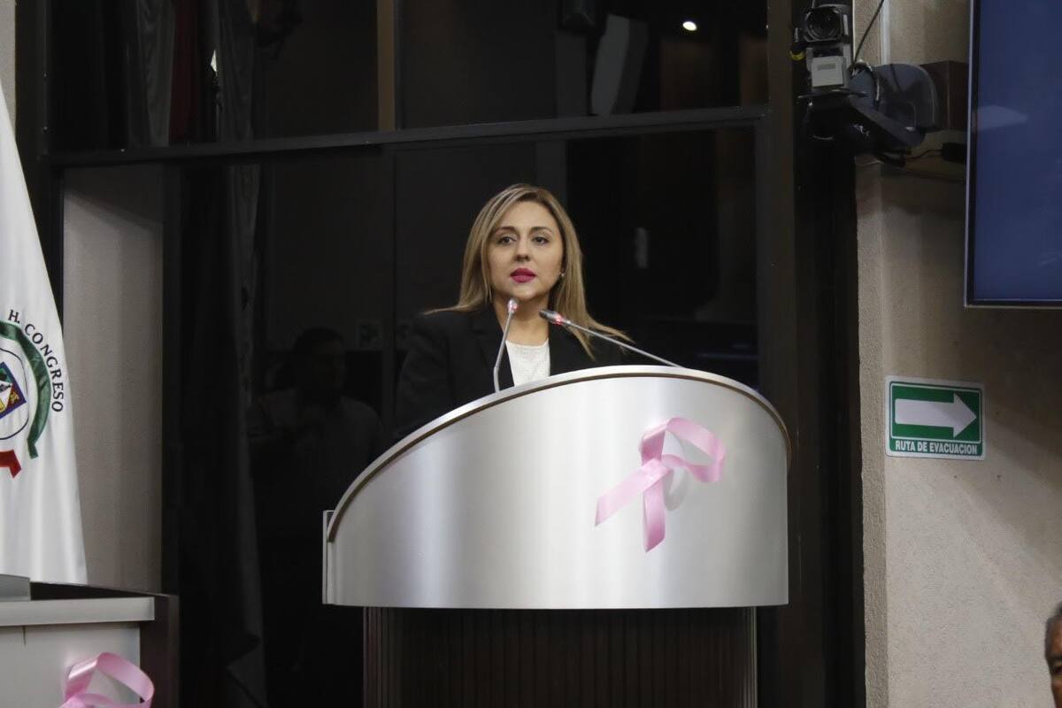 Diputada Diana Platt propone eliminar seguros de vida y gastos médicos a funcionarios