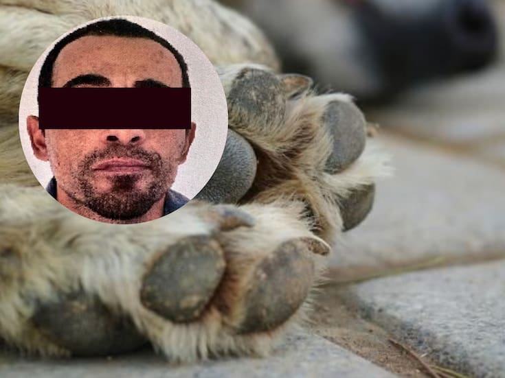 FGJES logró la vinculación a proceso de un hombre acusado de envenenar a perros en Santa Ana, tres murieron y uno quedó grave, el juez ordenó prisión preventiva y abrió investigación