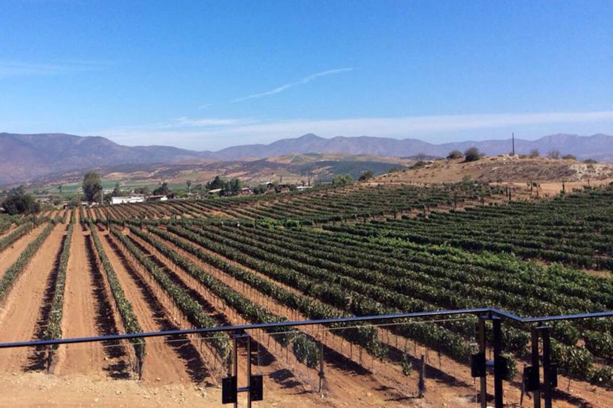 Mujeres impulsarán otros atractivos turísticos además del Valle de Guadalupe