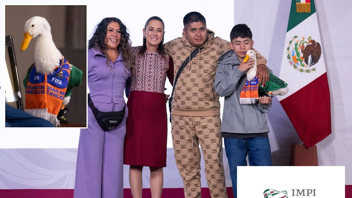 ¿Cómo saber si un nombre ya está registrado ante el IMPI? El caso del Pato Merlín explica qué ocurre cuando dos personas buscan quedarse con una misma marca