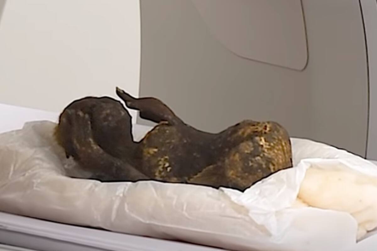 Analizarán 'momia sirena' de 300 años adorada en un templo japonés