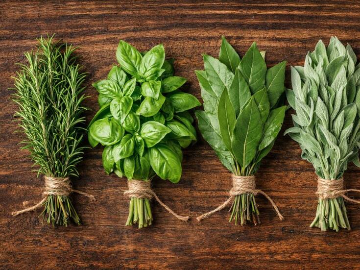 Navidad 2025: las hierbas que puedes colocar en la entrada de tu casa para protección, abundancia y equilibrio energético al cerrar el año