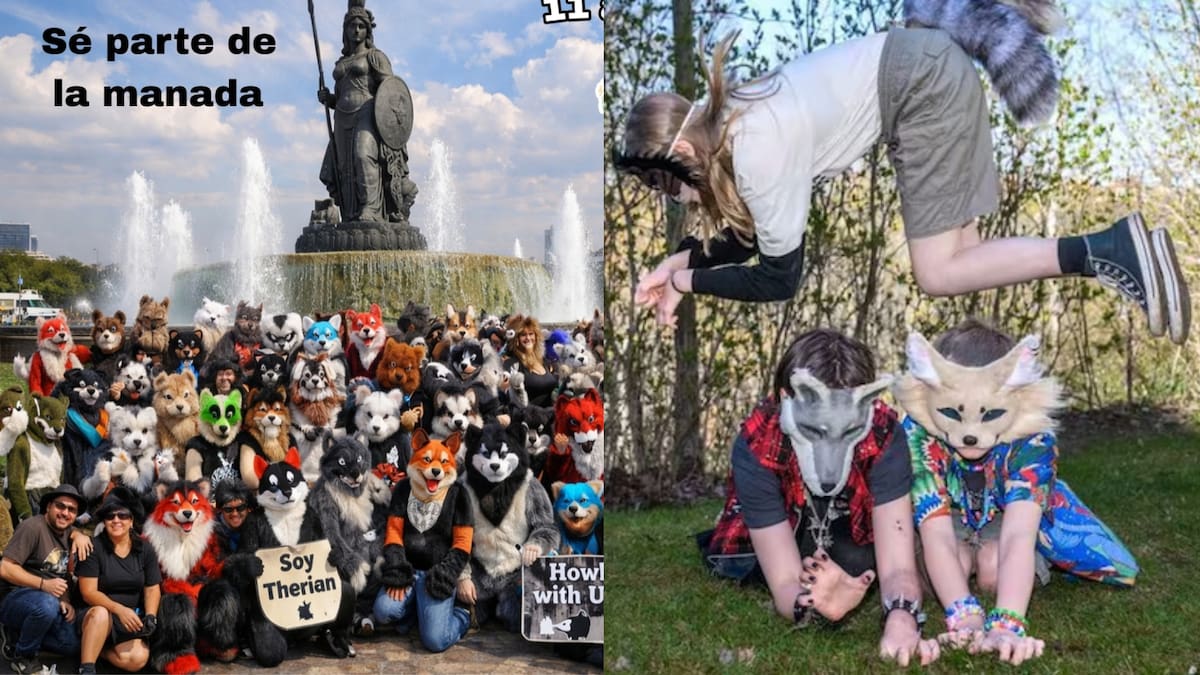 ‘Therians’ tendrán encuentros masivos a lo largo de México durante febrero tras volverse virales en Internet