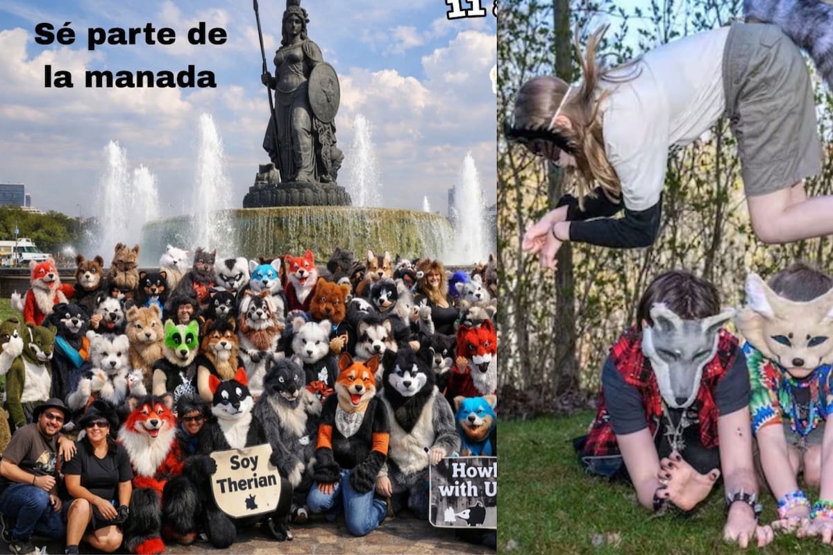 ‘Therians’ tendrán encuentros masivos a lo largo de México durante febrero tras volverse virales en Internet