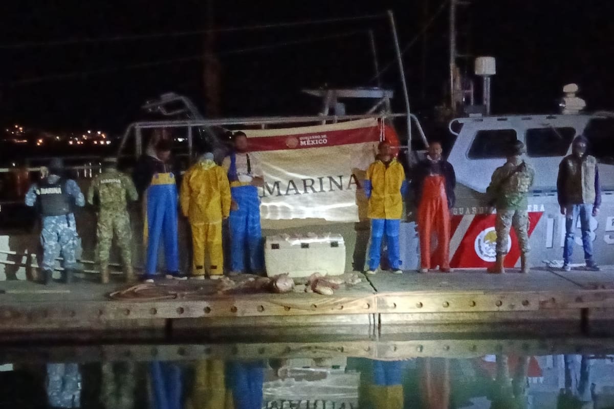 Caen cinco con totoaba y red ilegal en el Alto Golfo