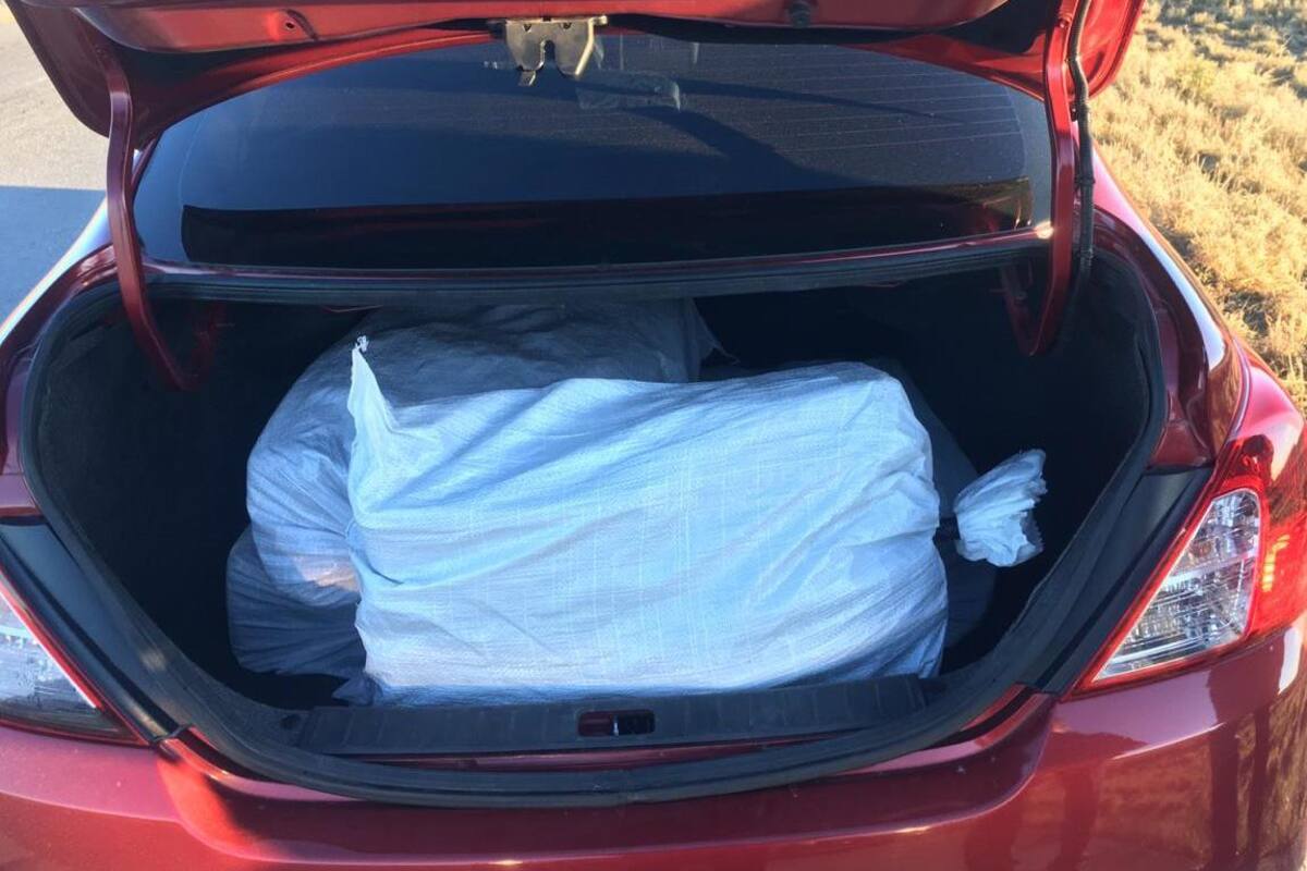 Decomisan alrededor de 200 kilos de metanfetaminas en carretera Hermosillo- Nogales