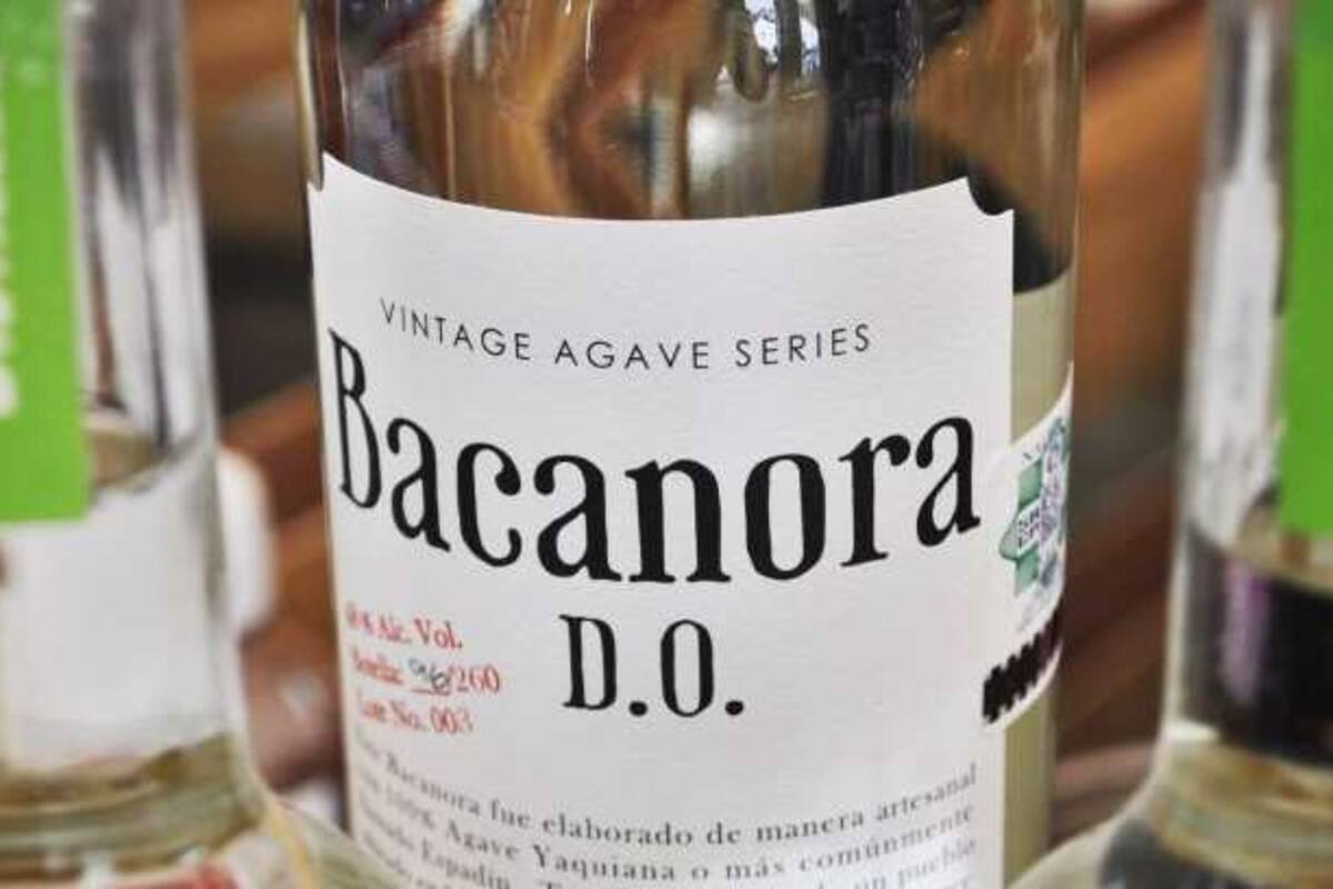 Altos impuestos "frenan" crecimiento de la industria del bacanora en el Estado