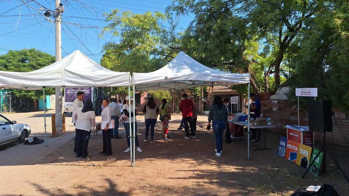Atienden colonias con 
 presencia de garrapatas en Cajeme