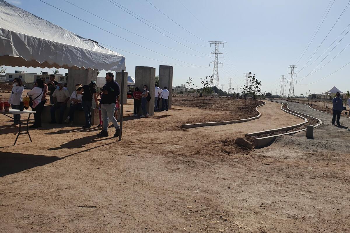 Se plantaron 250 árboles por la asociación civil TSM