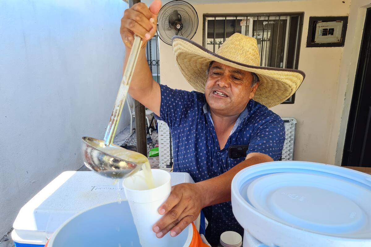 Combina frutas para elaboración de aguas frescas