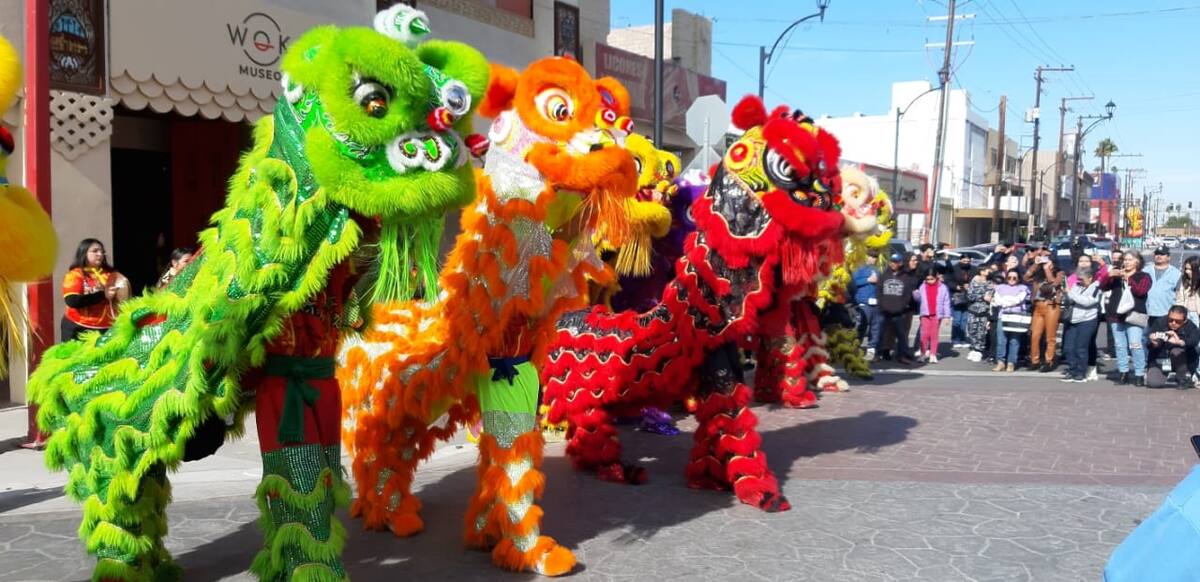 El Año Nuevo Chino se celebrará con más de 30 actividades, de 200 artistas en escena y una afluencia esperada de alrededor de 16 mil personas.