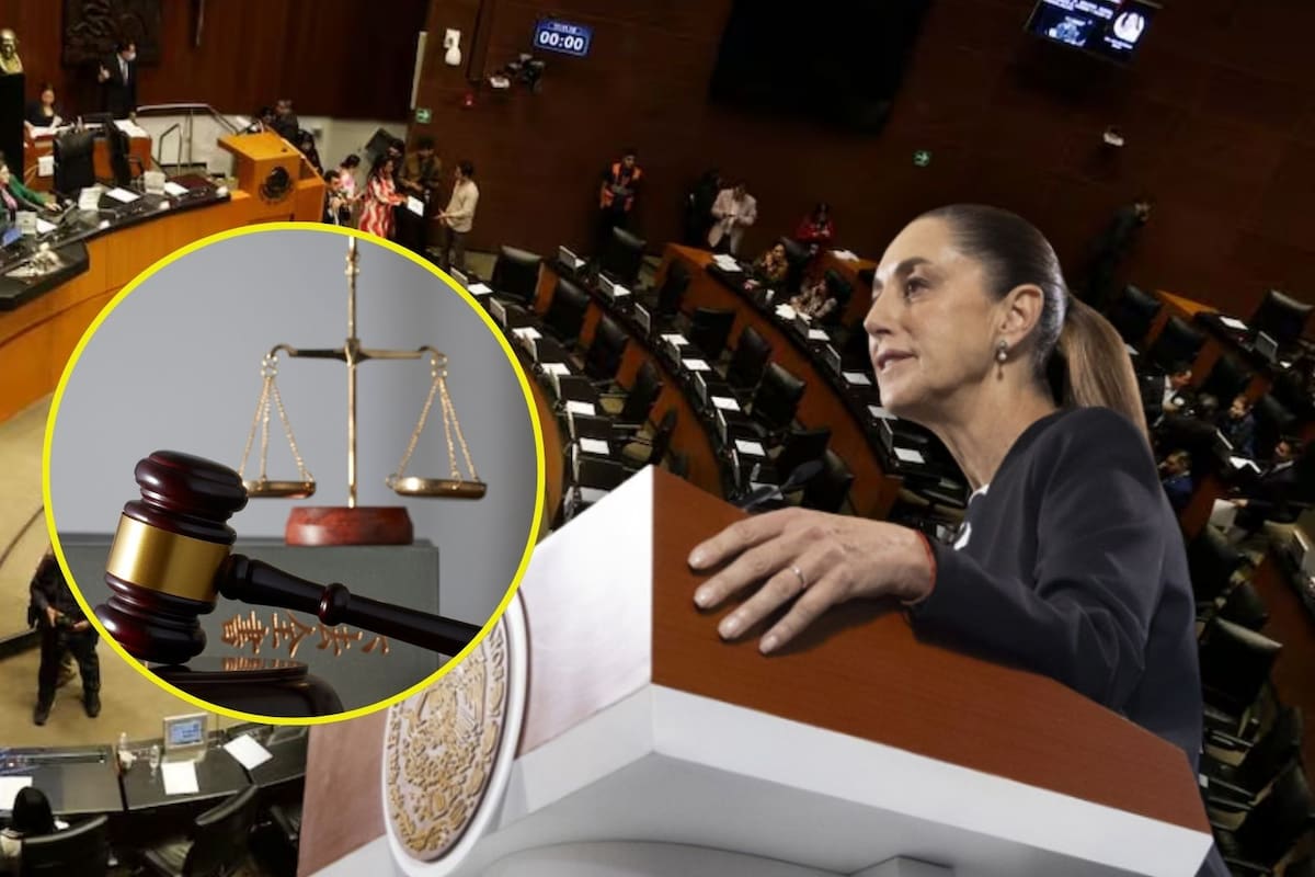 La Ley de Amparo según la Constitución no puede ser retroactiva: Sheinbaum