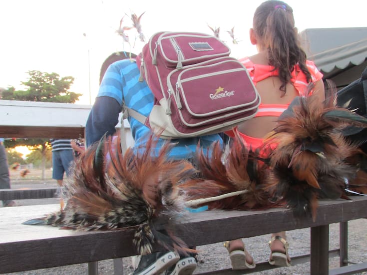 Sonora abrirá Casas de la Niñez Indígena y destinará recursos para comunidades guarijío, yaqui y mayo