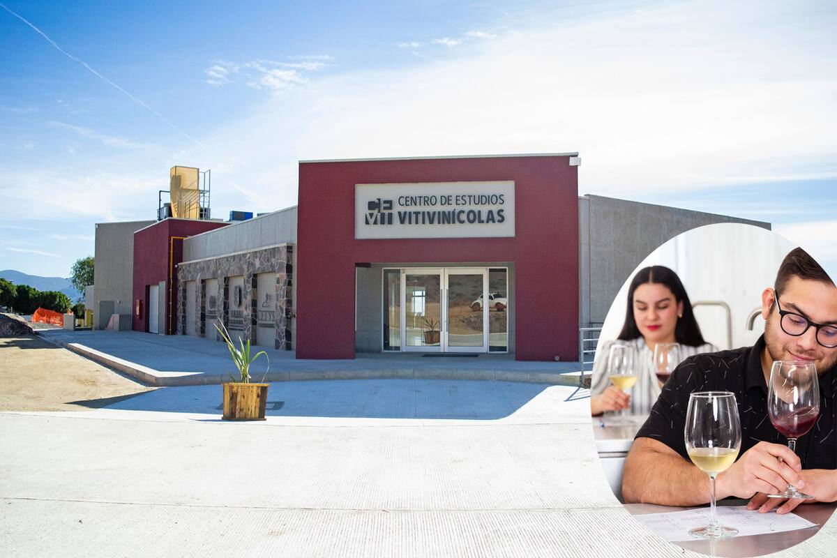 Cevit Ensenada anuncia nueva maestría en Vitivinicultura y Negocios