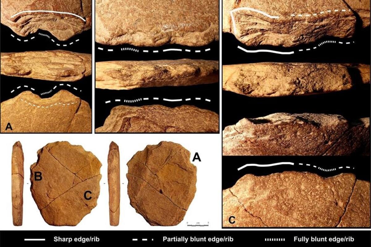 Hallan indicio de que los humanos vivían en América del Sur hace 24 mil años