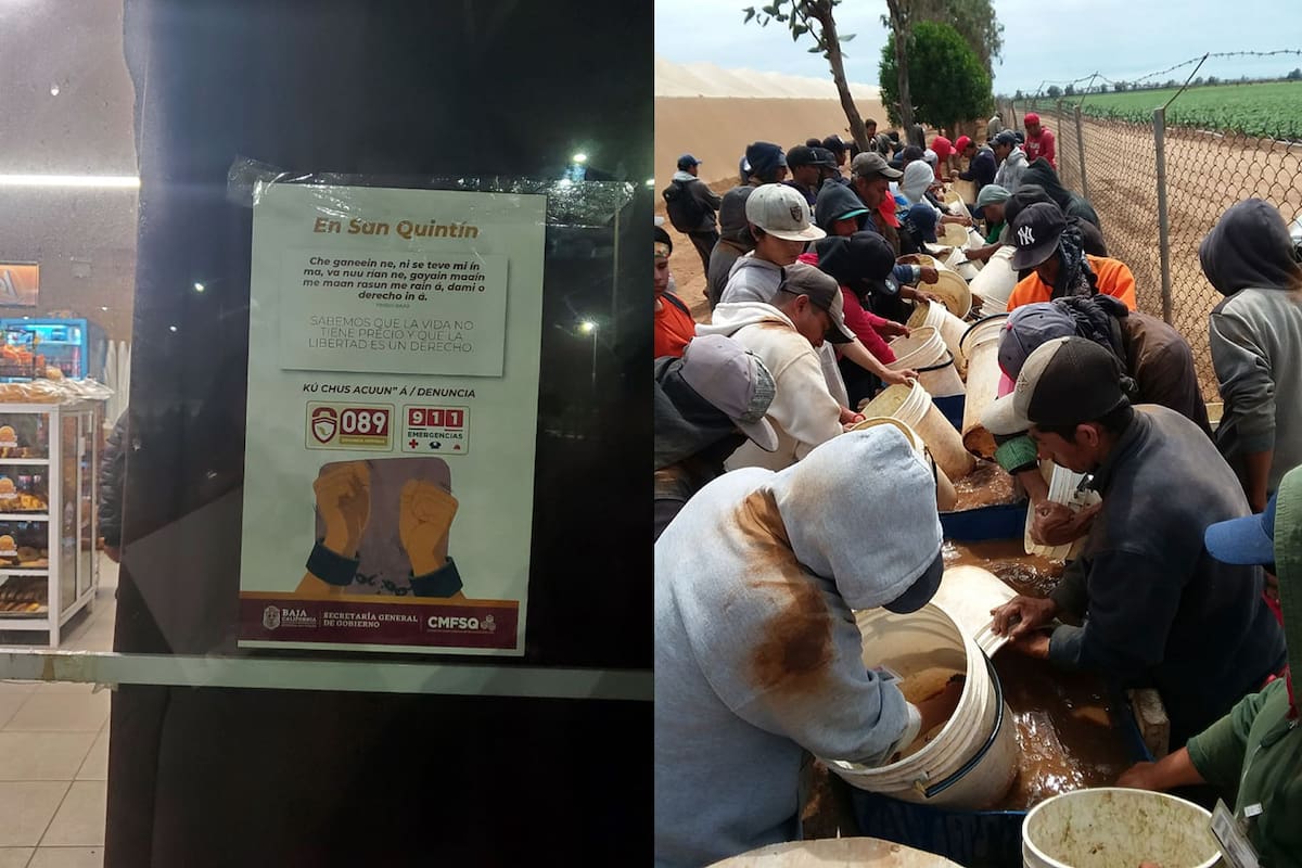 Advierten sobre trata de personas en campos agrícolas de San Quintín