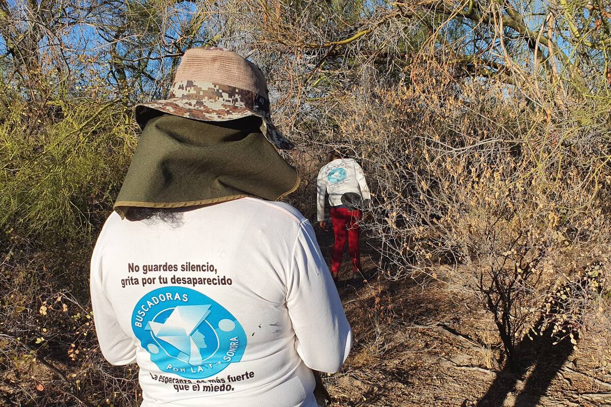 Buscadores de La Paz encuentran 6 cuerpos este día en cerros de Altares; en total son 14