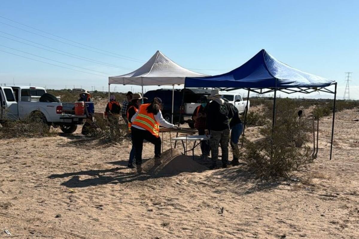 Encuentran más restos humanos en desierto de SLRC