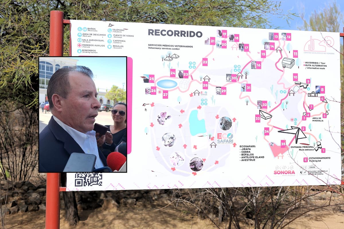 Este 5 de junio, reabrirán el Acuario del Centro Ecológico de Sonora