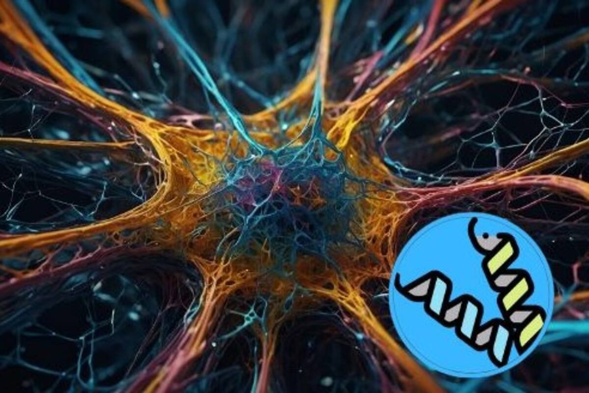 ¿Cómo se producen los cambios en el cerebro que anticipan el Alzhéimer?