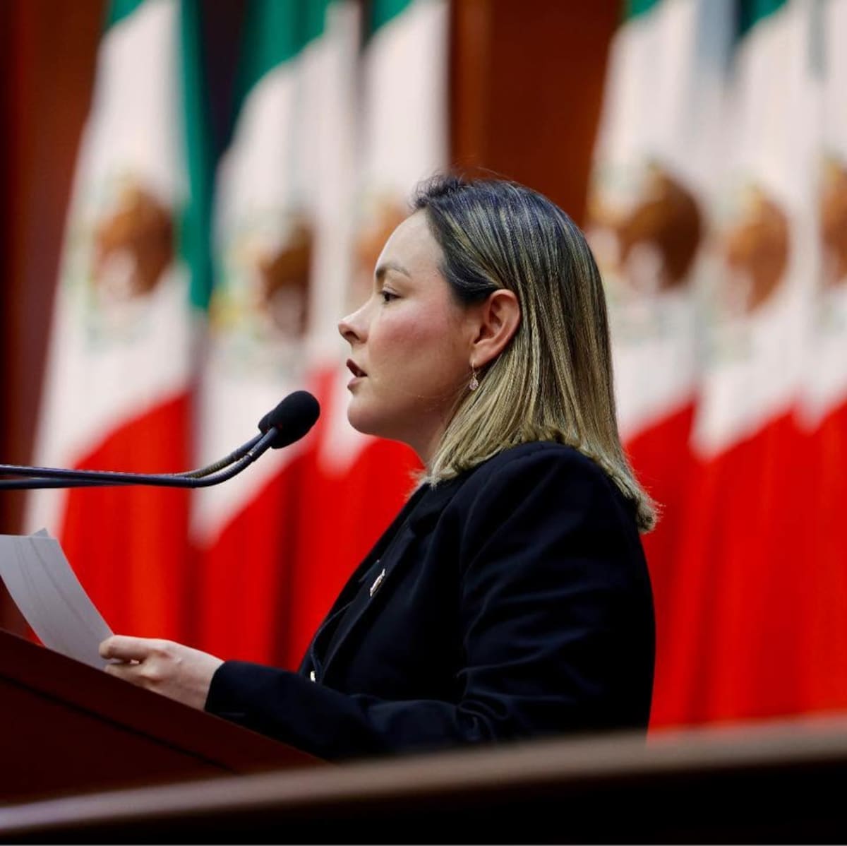 Yeraldine Bonilla Valverde, gobernadora interina de Sinaloa. Asumió el cargo el 2 de mayo de 2026 tras la aprobación de licencia temporal del mandatario Rubén Rocha Moya. | Foto: Yeraldine Bonilla Valverde/Vía Facebook.