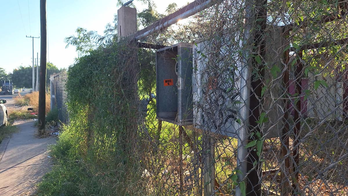 Padres de familia cierran primaria; Exigen limpieza de terrenos por casos de dengue