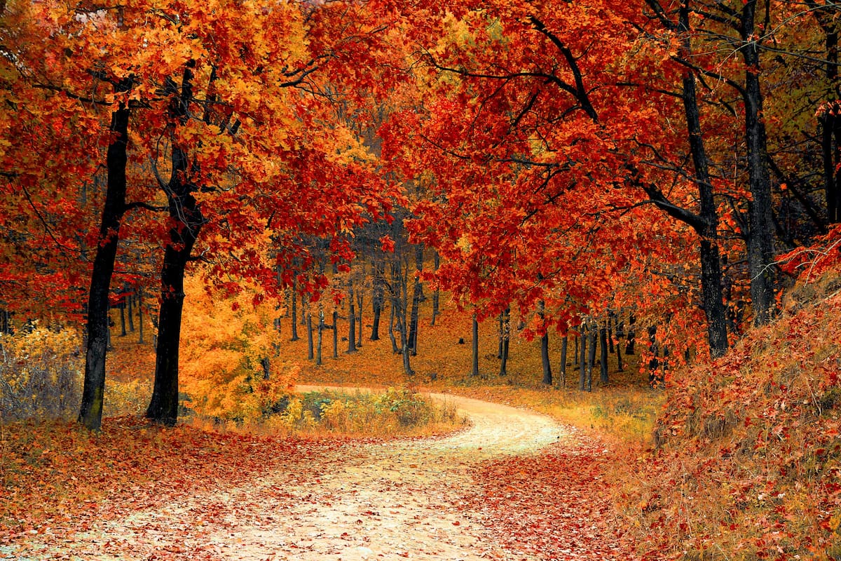 ¿Cúando es el equinoccio de otoño 2024 y qué significa?