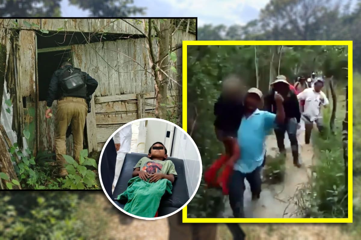 Niño de 9 años se perdió seis días en la selva de Campeche;  dos perros se convierten en sus guardianes