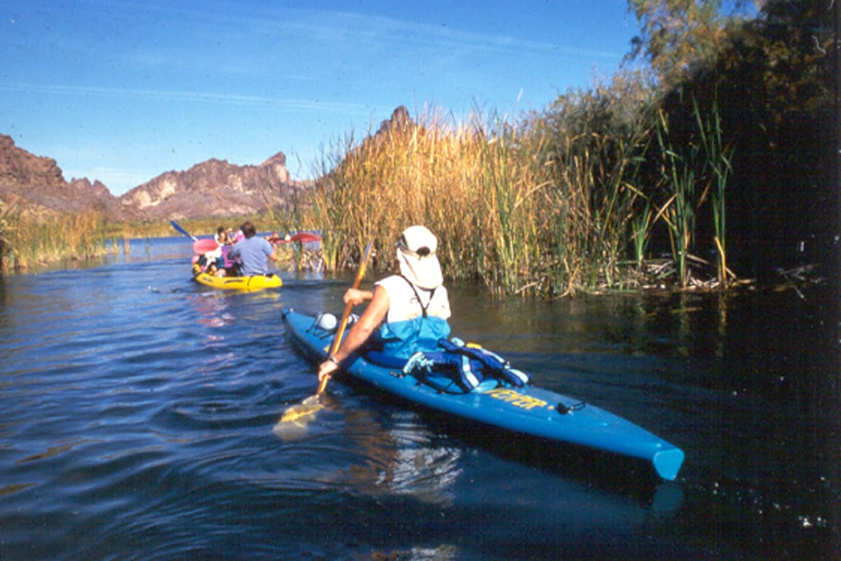 Disfruta de todas las alternativas de entretenimiento en los Parques Estatales de Arizona