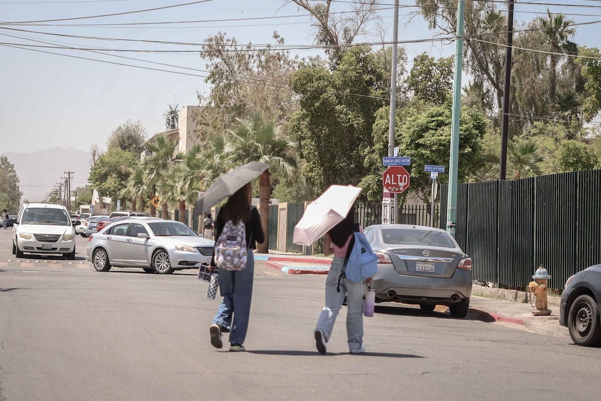 Requiere UABC hasta 15 millones de pesos para delimitar acceso a facultades