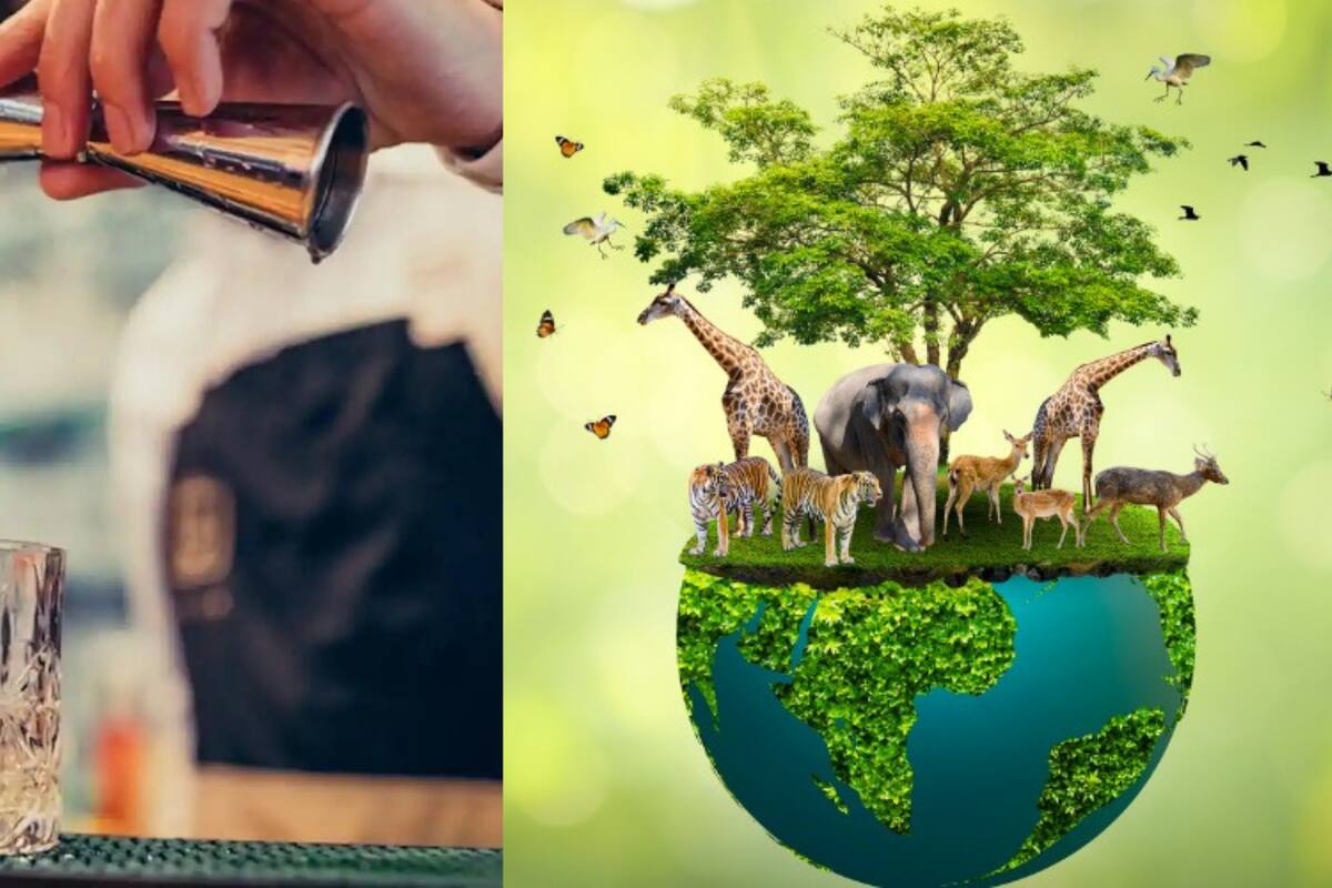 Efemérides del 4 de octubre: ¿Qué pasó un día como hoy?