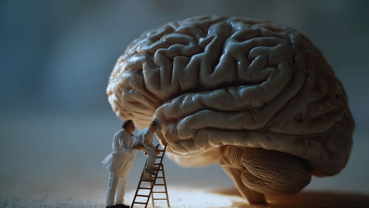 Entender estos cambios permite dejar de juzgar al cerebro y empezar a apoyarlo.