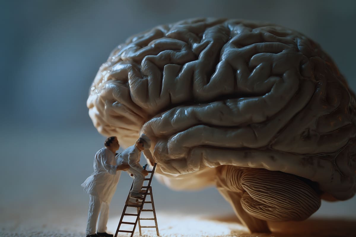 Neurólogos advierten que hay 10 hábitos muy comunes que afectan tu cerebro y contribuyen al desarrollo de demencia, por lo que recomiendan cambiarlos