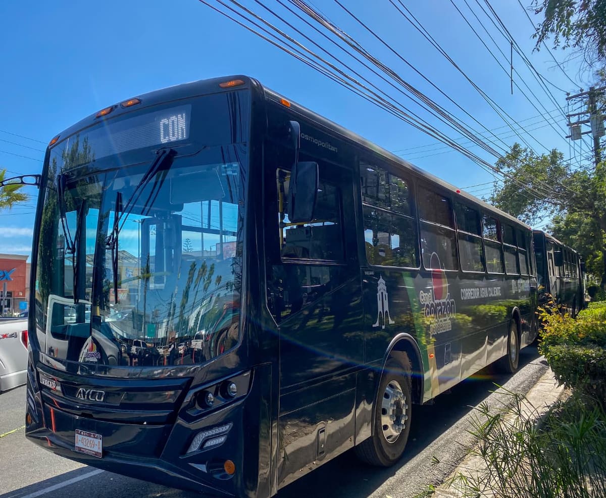 La capacitación continua fortalece un transporte público más humano, incluyente y con sentido social en Baja California. Foto: Cortesia