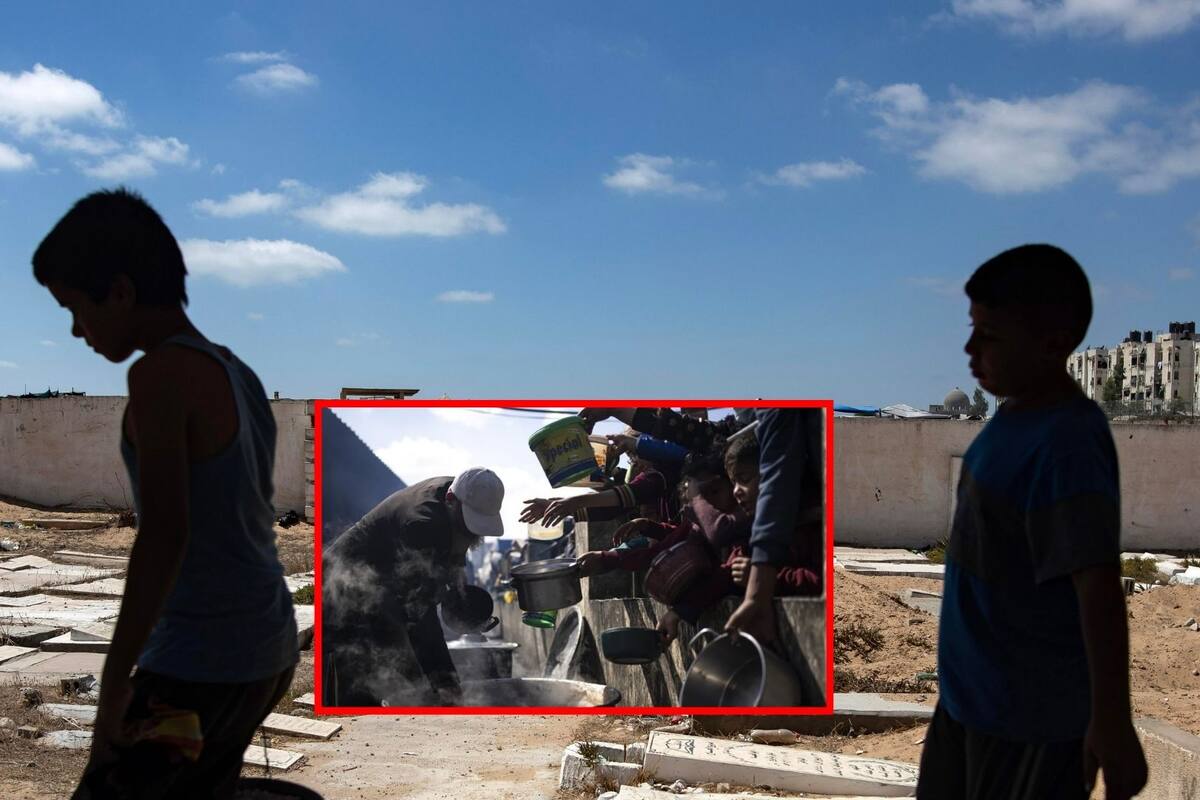 OMS suspende Programa Mundial de alimentos en Gaza tras agresión a un vehículo de ayuda humanitaria