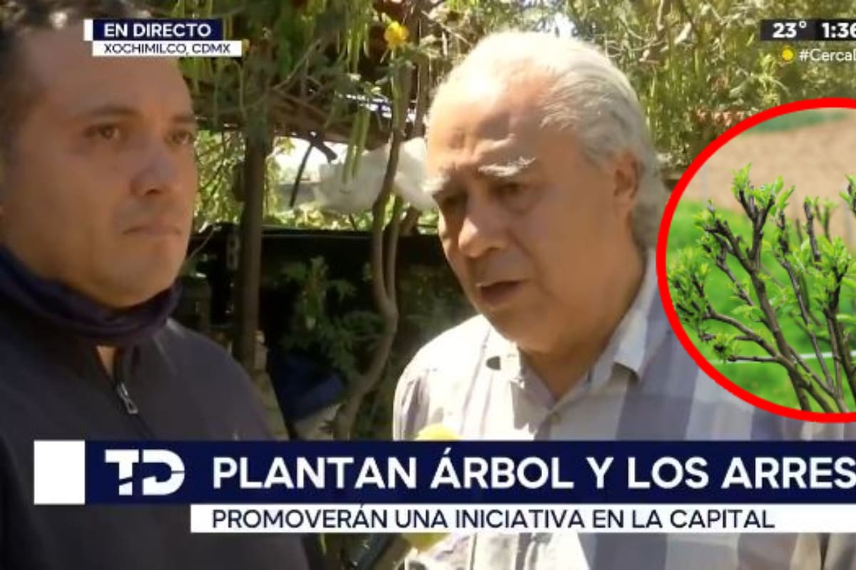 La detención y multa de Alfredo Carrillo por plantar un árbol en la CDMX: Qué se sabe del caso y qué debes aprender sobre el tema