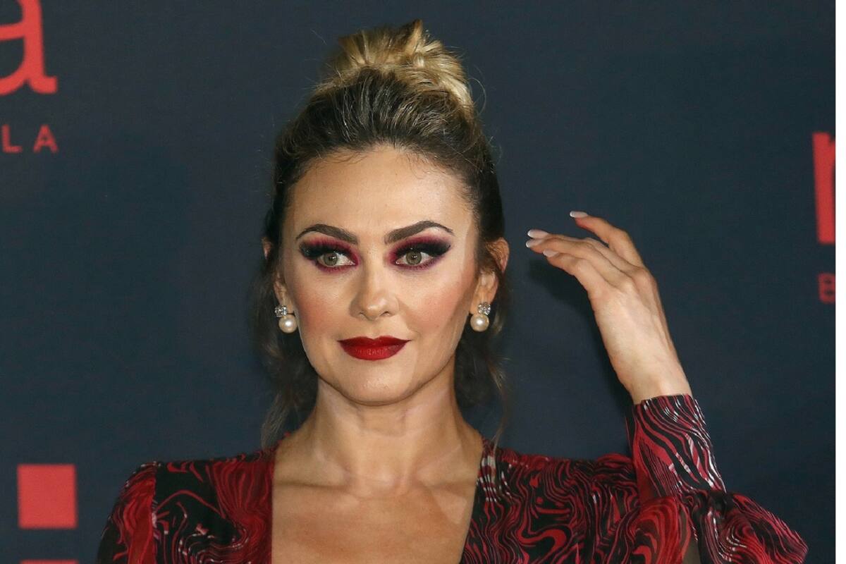 Aracely Arámbula se sincera sobre su relación con Luis Miguel