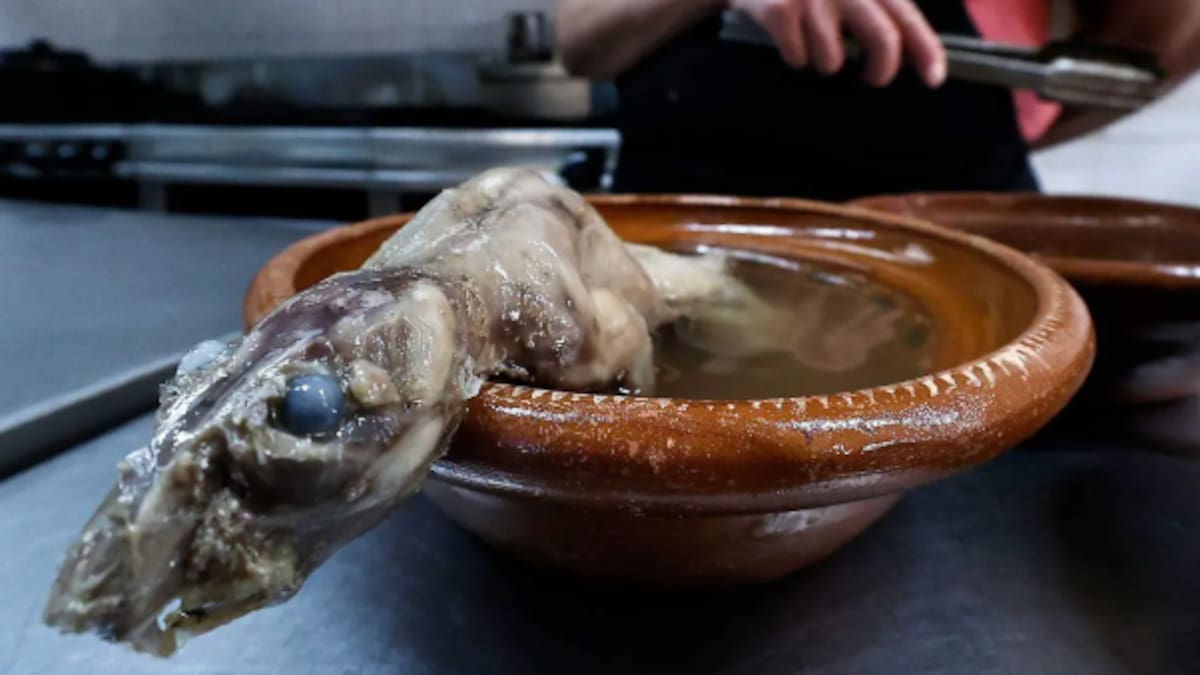 ¿Comerías caldo de rata? El platillo tradicional de Zacatecas que sorprende a turistas y genera debate