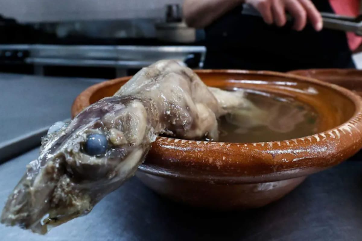 ¿Comerías caldo de rata? El platillo tradicional de Zacatecas que sorprende a turistas y genera debate