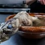 ¿Comerías caldo de rata? El platillo tradicional de Zacatecas que sorprende a turistas y genera debate